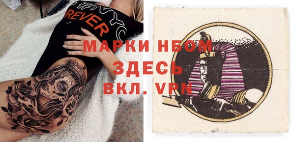 сатива Баксан