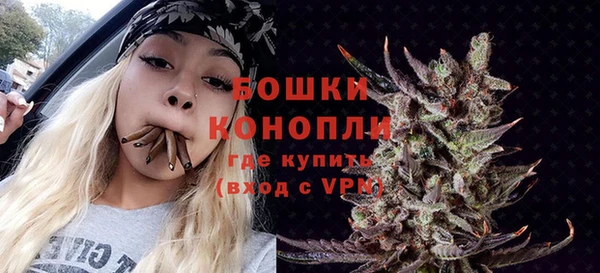 сатива Баксан