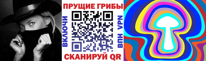 Купить Среднеколымск Псилоцибиновые грибы мицелий